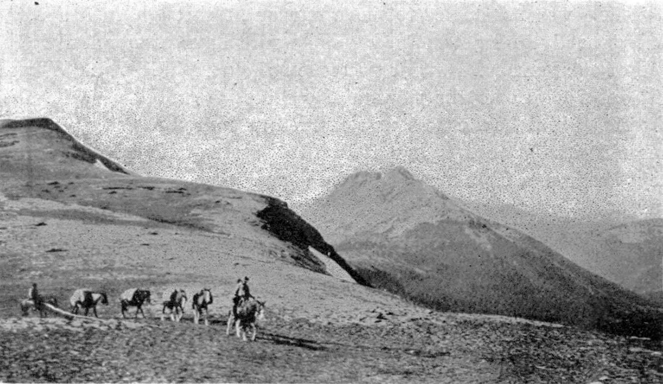 Alpland above Avalanche Pass, 1914.