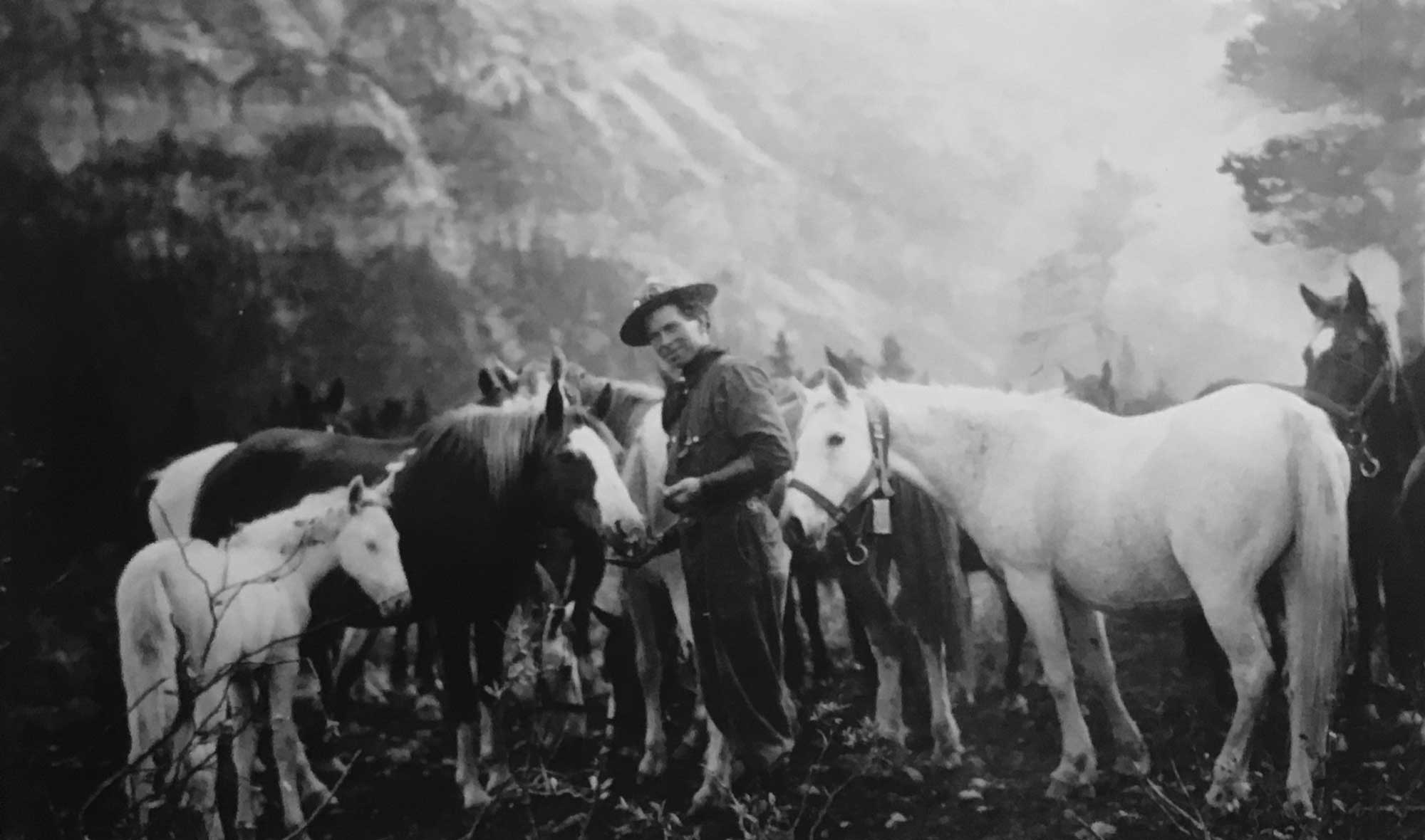 Donald Philips and his pack ponies. 
Photo, Julia Wilcox, 1913