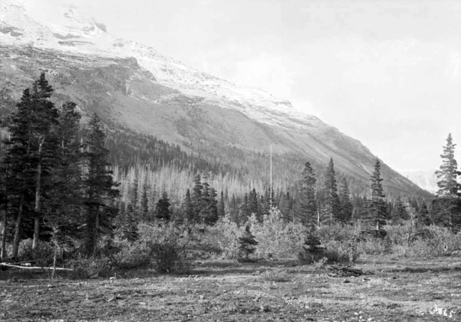 Mount Mumm at Berg Lake. 
William James Topley, 1914