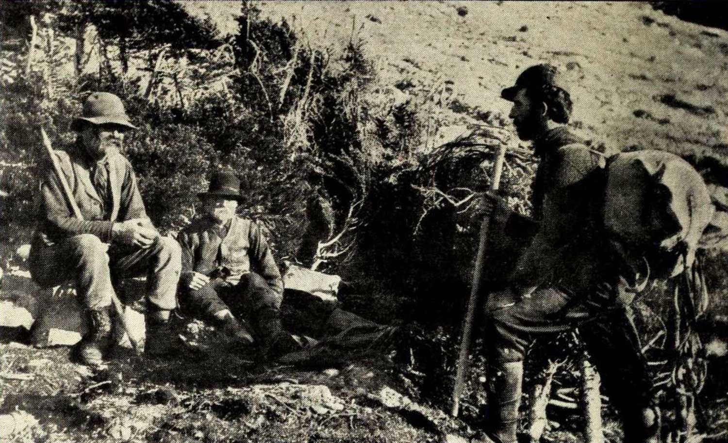 Camp among last bushes. 7000 feet. Lucius Coleman, Arthur Coleman, George Kinney. 1907