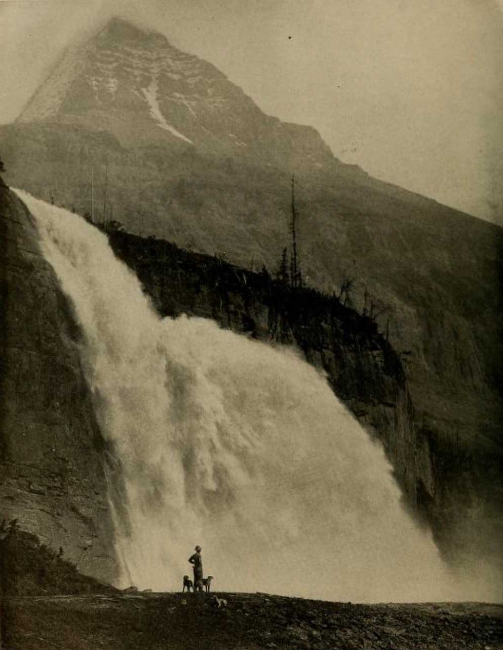 Emperor Falls, with Robson Peak above. Photo by R. C. W. Lett, courtesy of Grand Trunk Pacific Railway, 1913