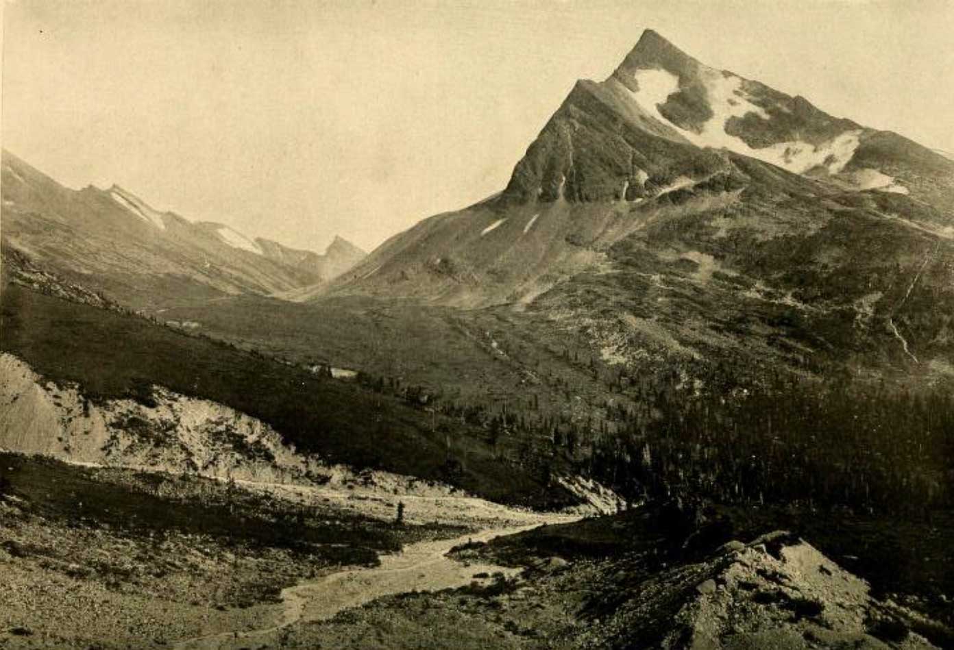View of Moose Pass and Tah Peak: our camp was in the forest on the right. Photo by R. C. W. Lett, by courtesy of Grand Trunk Pacific Railway