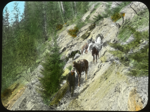 A bit of trail on the Fraser [possibly Shale Hill]
 Photo: Mary Schäffer, 1908