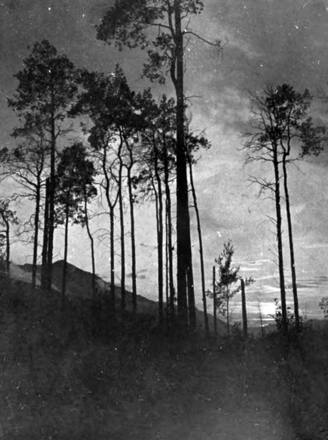 Sunset on the Yellow Head Pass. 
Photo: Dr. J. Norman Collie, 1910