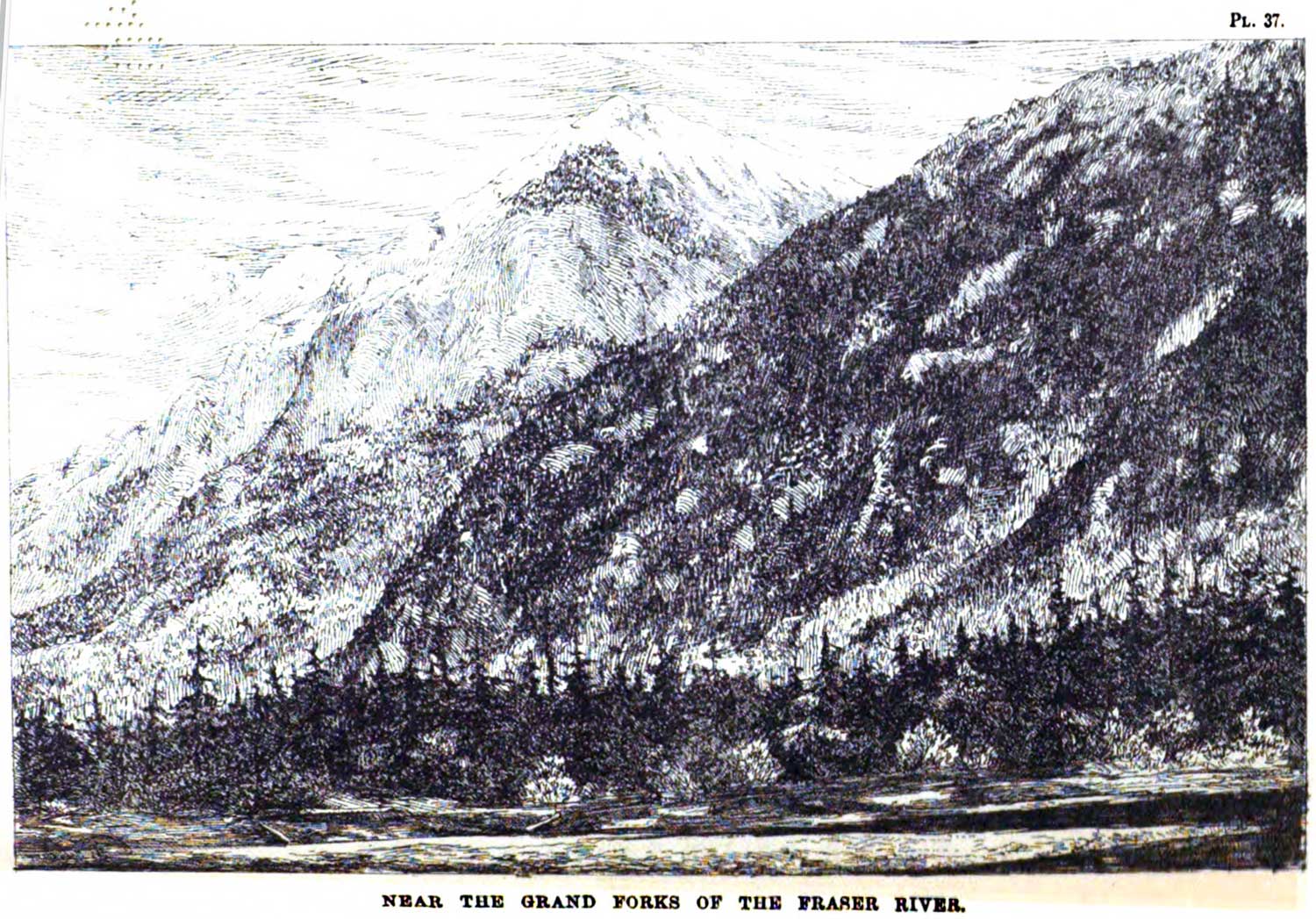Near the Grand Forks of the Fraser River. George Monro Grant, plate 37