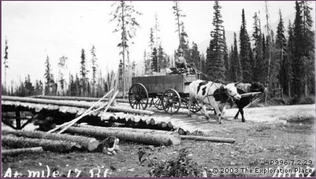 Oxen pulling cart over bridge at Mile 17 BC, 1912