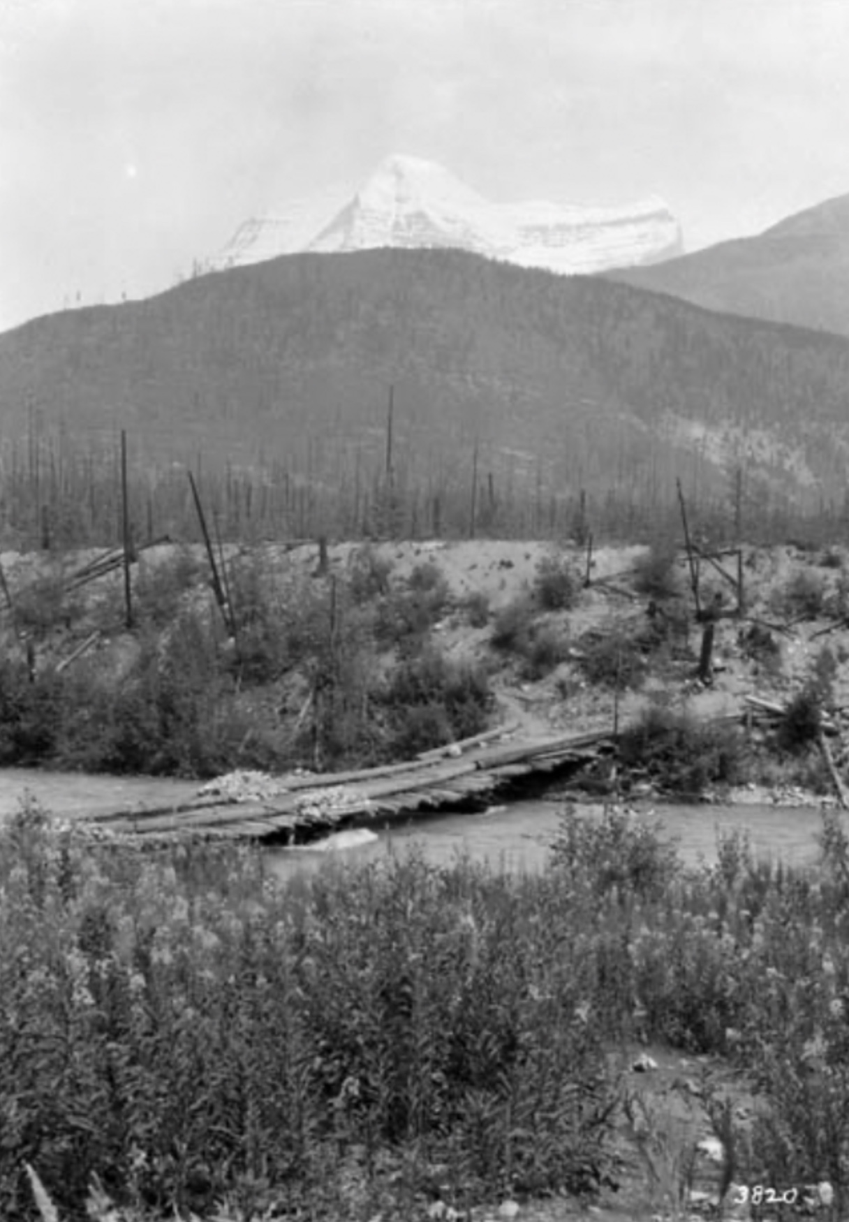 At Hogan's bridge - Mt. Robson in background
William James Topley, 1914