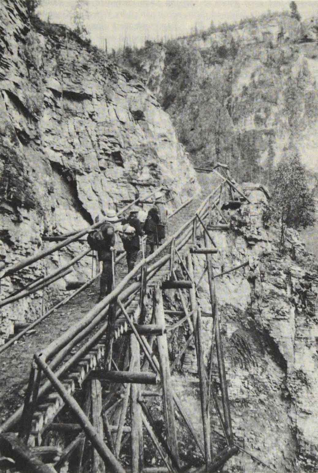 Flying trestle bridge built by Donald “Curly” Phillips to enable packtrains to travel up the Valley of a Thousand Falls.